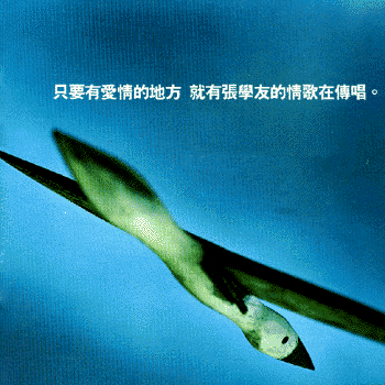 �u�n���R�����a��A�N���i�Ǥͪ����q�b�ǰ�